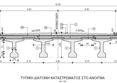 Preliminary Structural Design of the Kivitsas Bridge